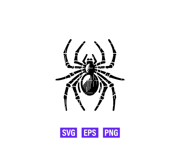 Spider Logo Graphics Free Download