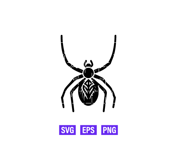 Spider Logo Graphics Free Download