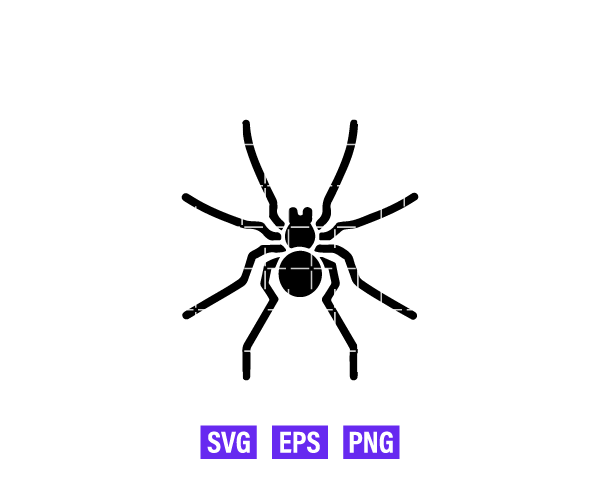 Spider Logo Graphics Free Download