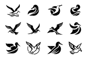 best albatross logo free download